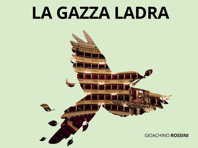 TORNA A ROMA LA "GAZZA LADRA" E SVELA IL SUO TESORO